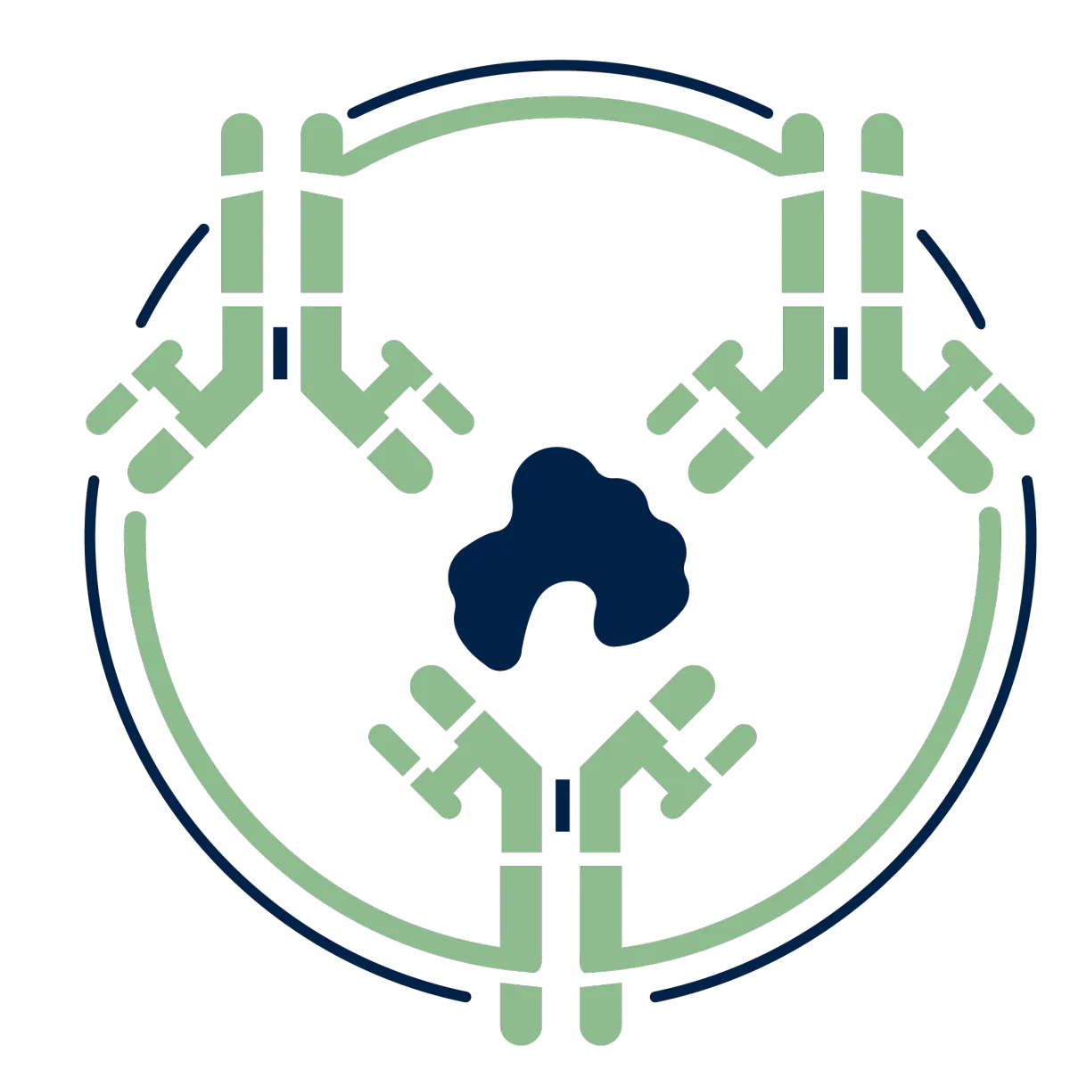 MAbBinning: antibody epitope binning