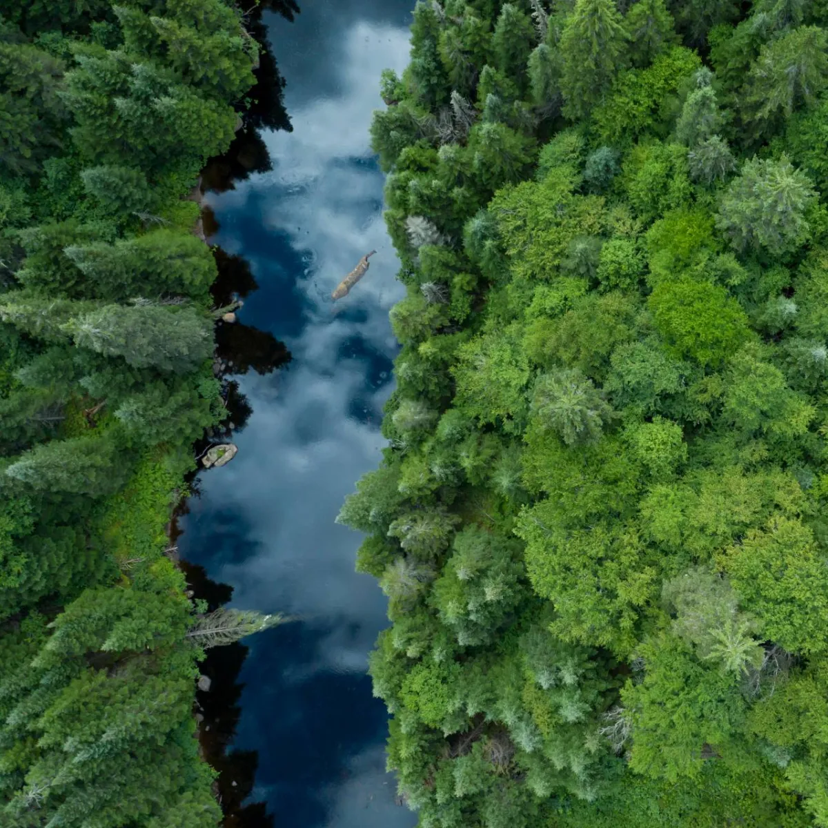 BMO Global Asset Management