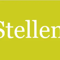 Senior Consultant Technische Information (m/w/d)