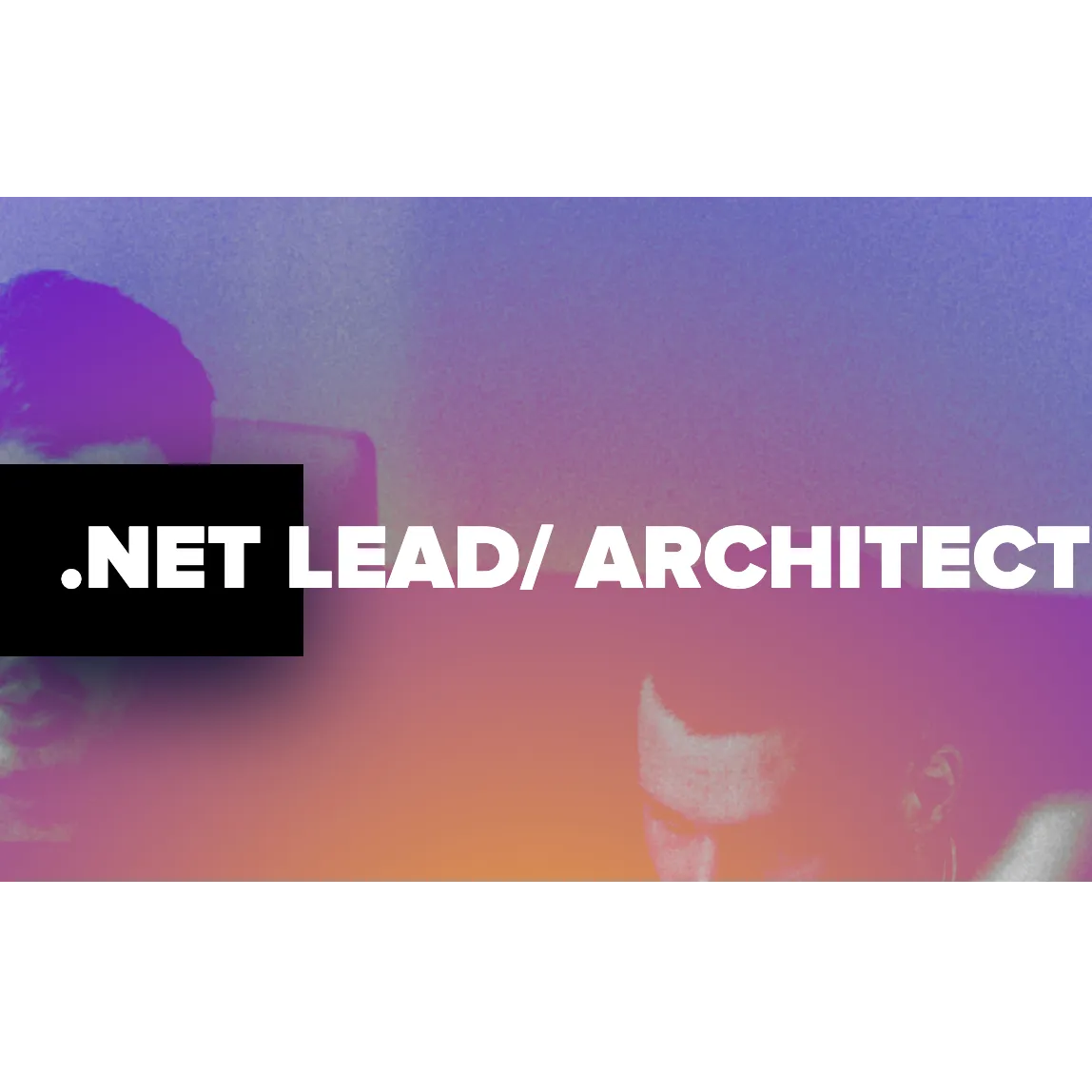 .NET LEAD/ ARCHITECT