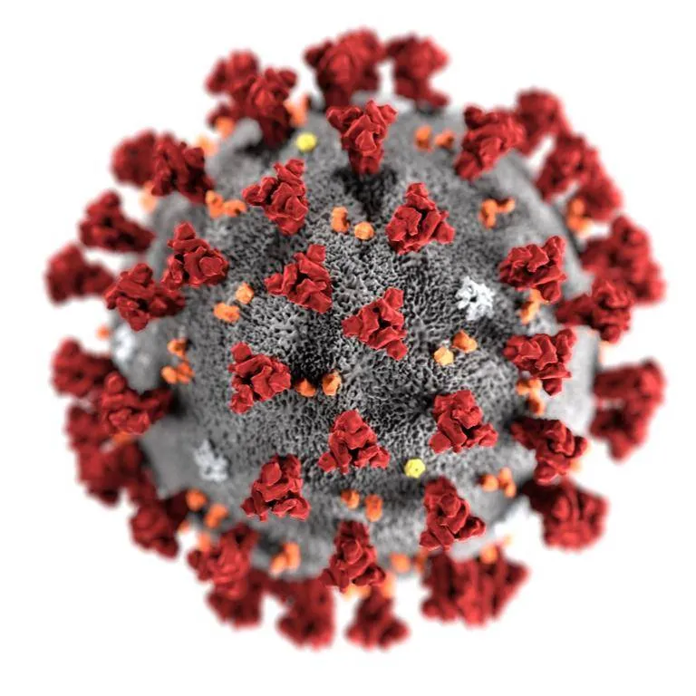 COVID-19 DNA Solutions