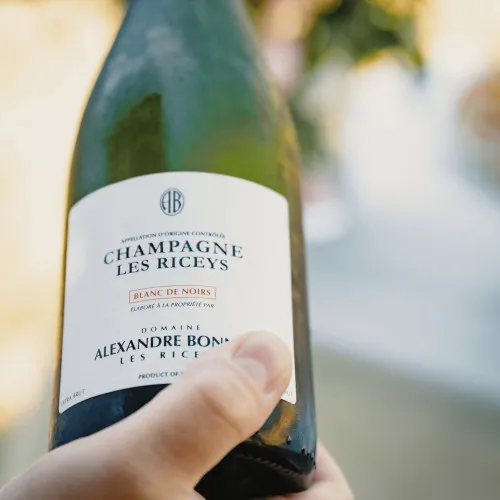 Domaine Alexandre Bonnet