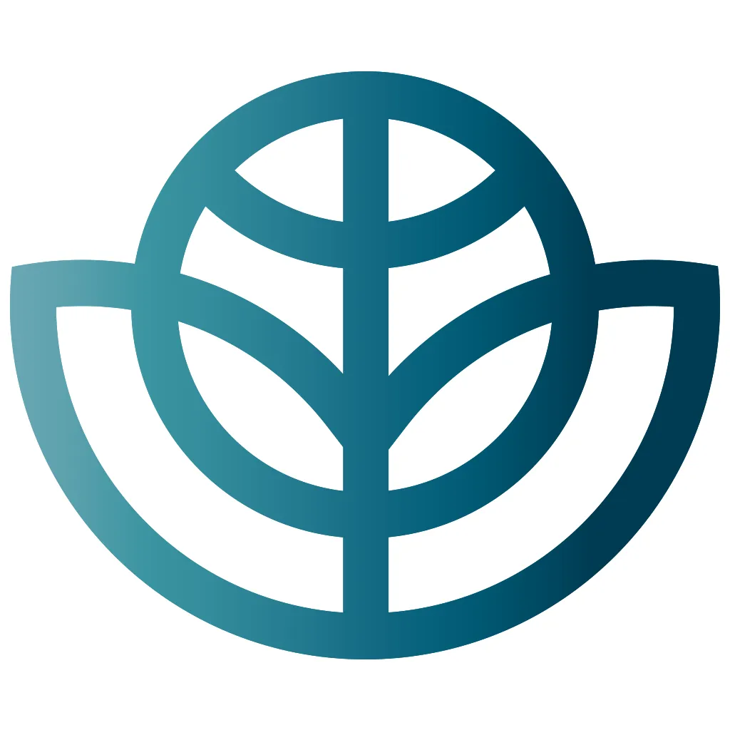 How to use this website