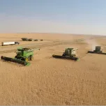 Growing Projects and Community Events