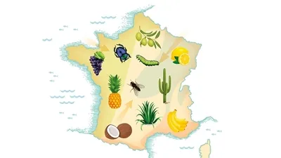 Dédicace de Jérôme Jullien "Adapter son jardin au changement climatique"