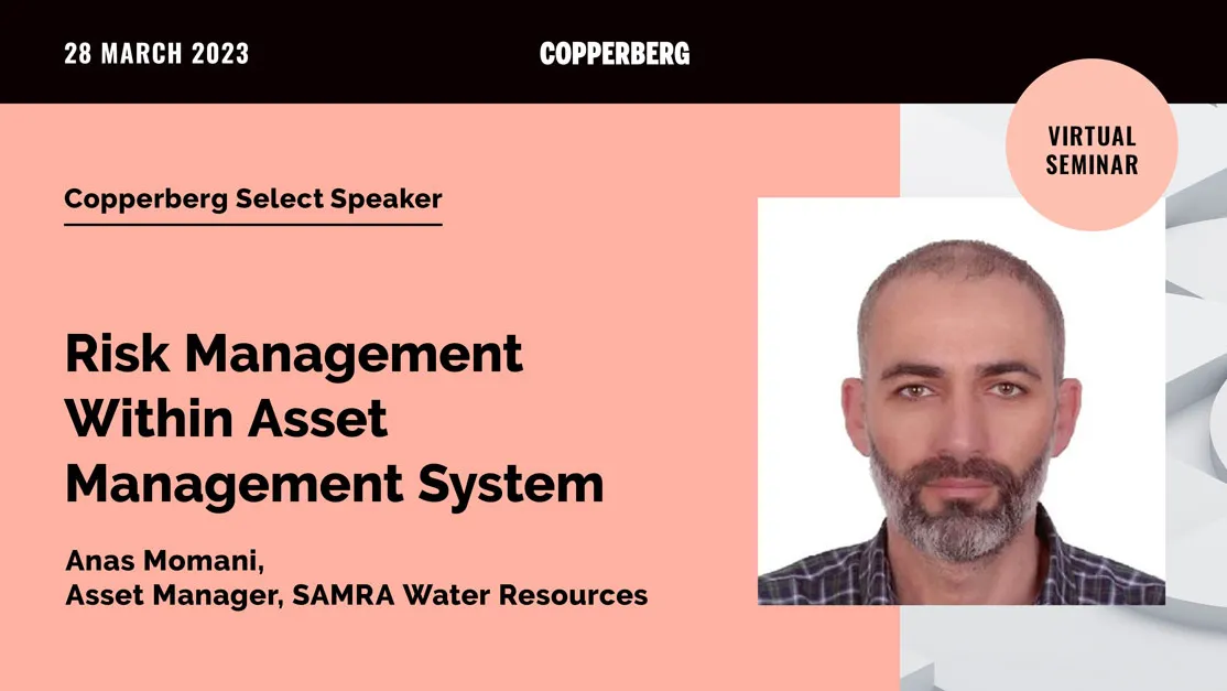 Risk Management Within Asset Management System