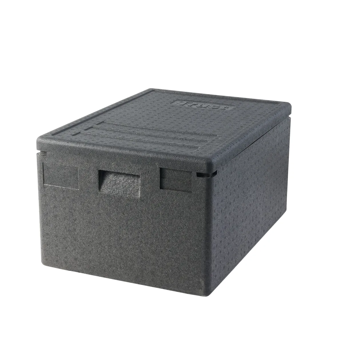 TRANSPORTADORES DE ALIMENTOS AISLADOS