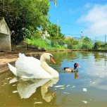Maison T3 à Funchal
