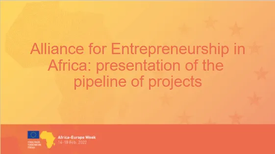 Alliance for Entrepreneurship in Africa: presentation of the pipeline of projects