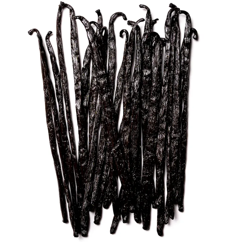 Vanille Gourmet - Cuts - Red - Poudre