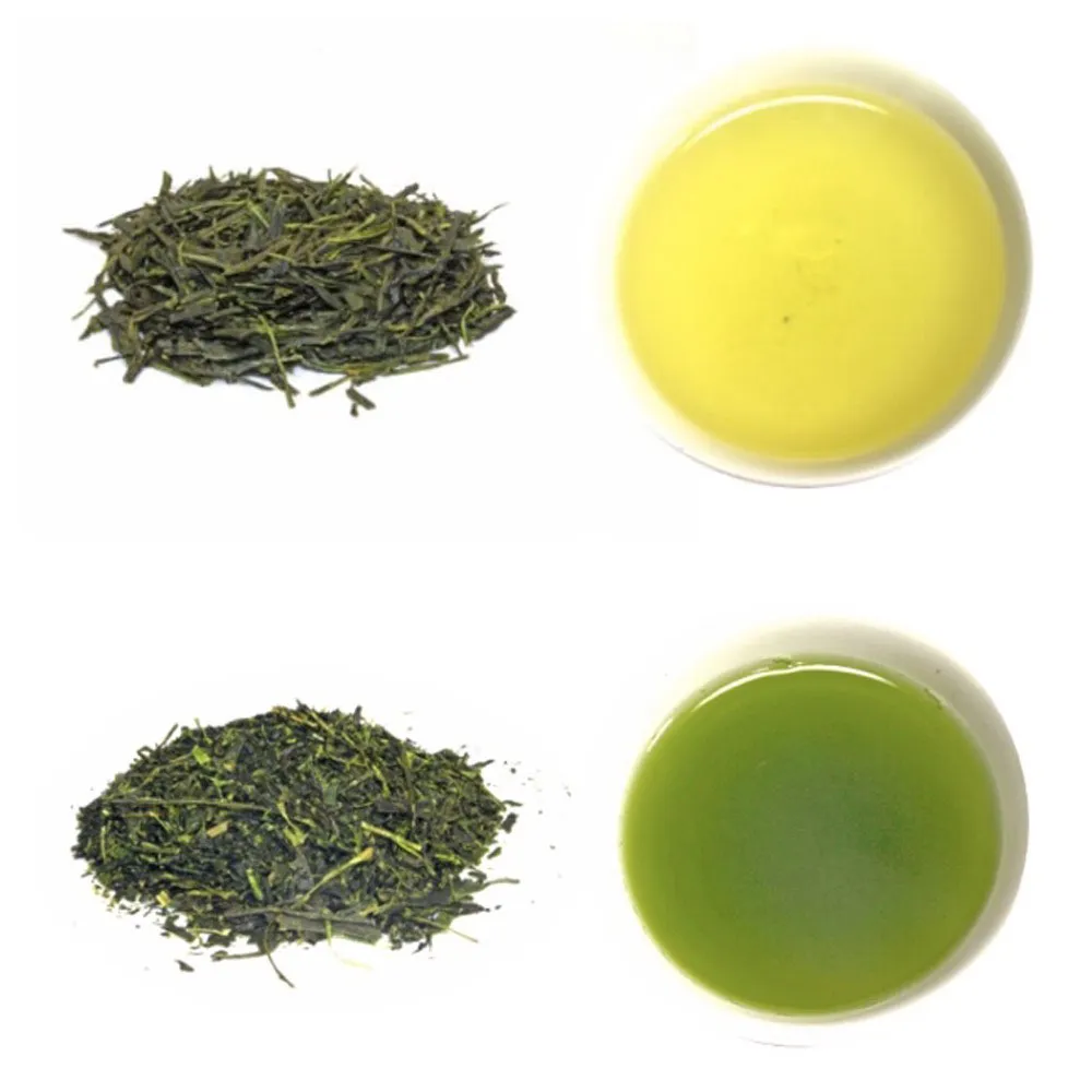 Organic Japanese green tea SENCHA and FUKAMUSHI-CHA