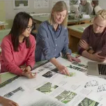 Undergraduate Programs