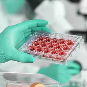 Recombinant Protein Expression Services