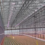 Eclairage jeunes plants et semences