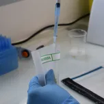Innovation et qualité