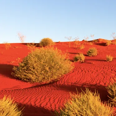 Rio Tinto Renewables Assessment in Pilbara