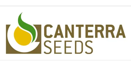 CANTERRA SEEDS