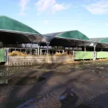 Élevage