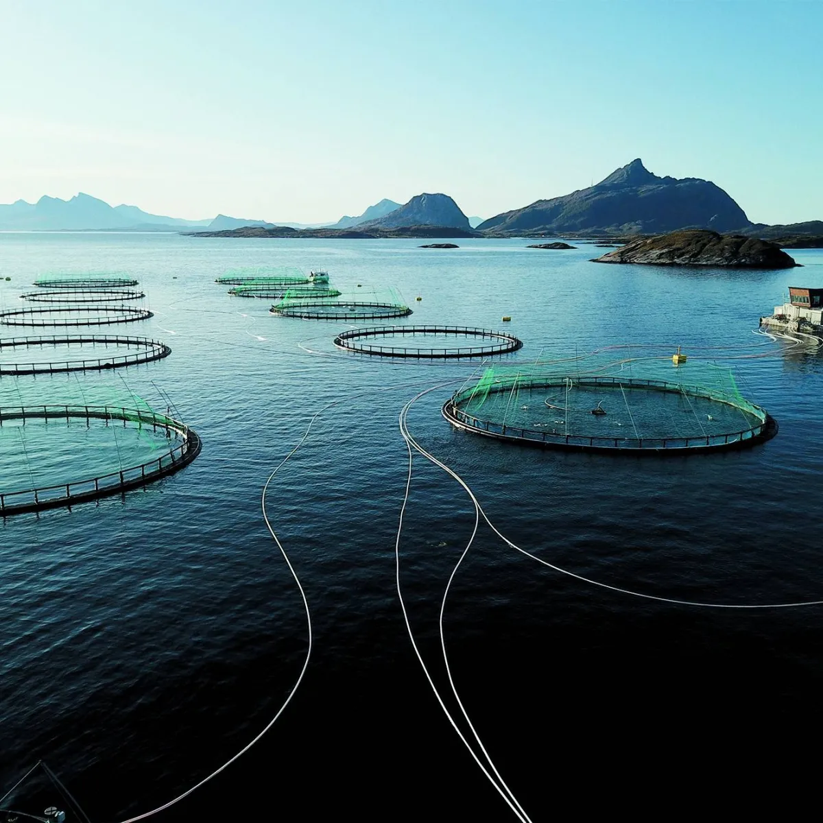 Fish Farm - Off Grid