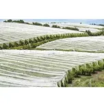 PP Spunbond Nonwoven Fabric