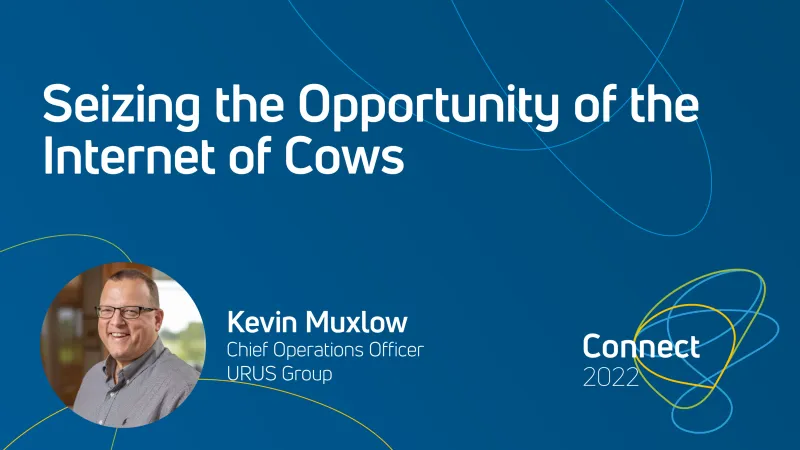 Seizing the Opportunity of the Internet of Cows