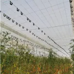 BIOTUTOR - ficelle horticole