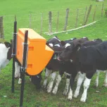 Jug Waterers and Mineral Feeders get a quote and enter coupon code AG2020 for $40 off during the show
