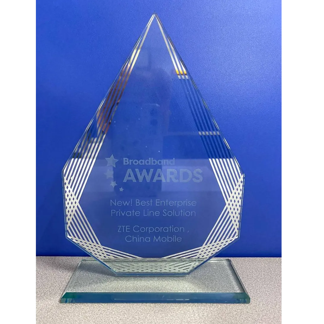 ZTE and China Mobile win Best Enterprise Private Line Solution Award at Broadband World Forum 2020