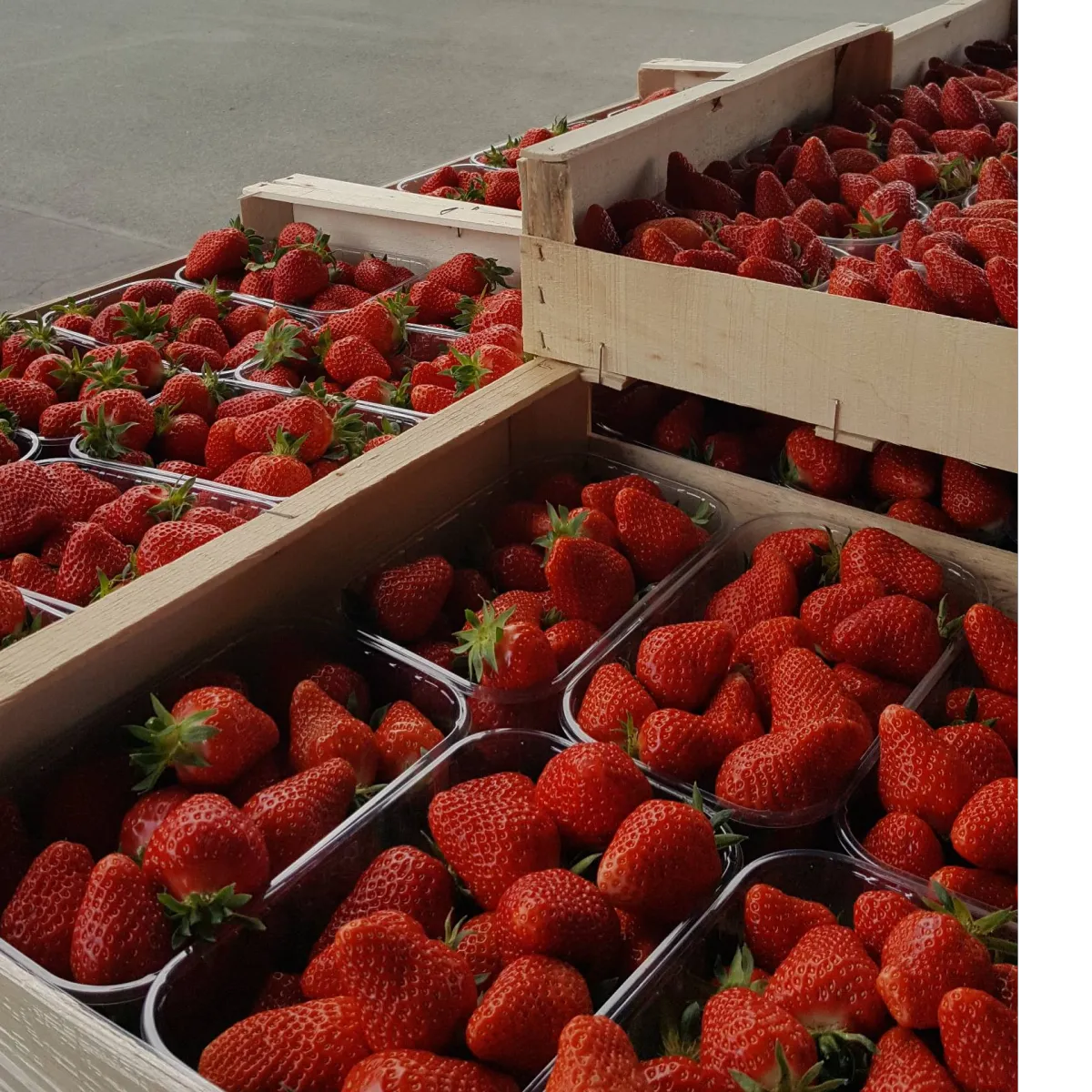 Marché de gros alimentaire de Vivy (49)