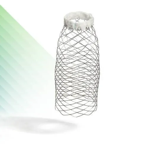 AMDS -Hybrid Acute Type A Dissection (ATAD) Prosthesis