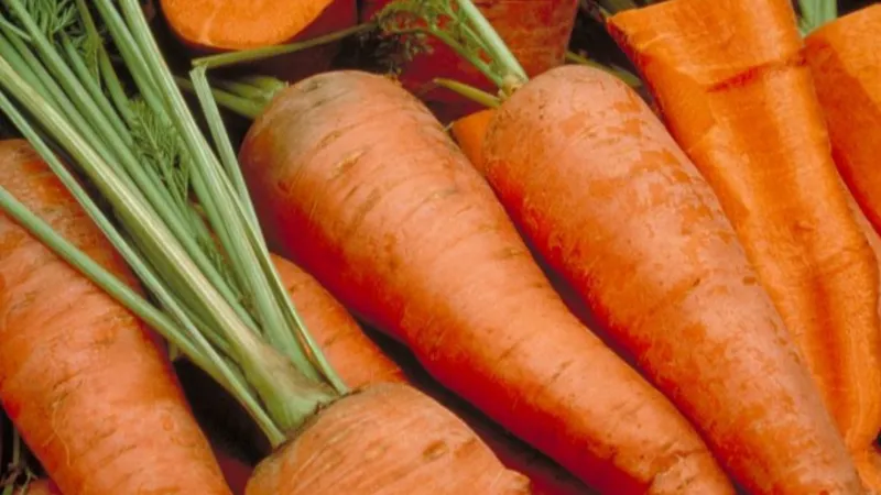How can we identify effective biocontrol products for carrots and optimise their use?