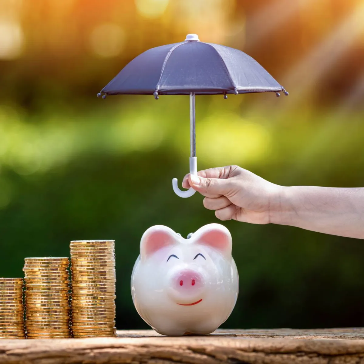 ASSET PROTECTION AND RECOVERY