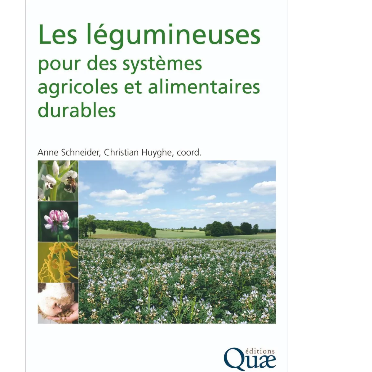 Les légumineuses pour des systèmes agricoles et alimentaires durables. Anne Schneider et Christian Huyghe, coord. Editions Quae.