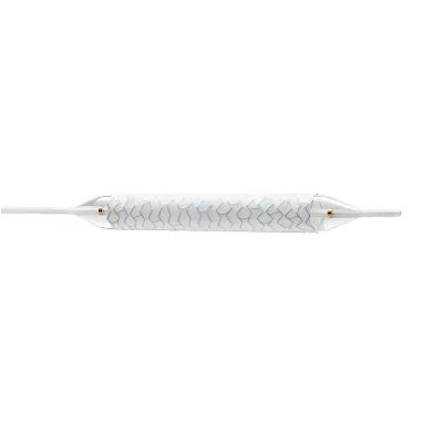 Radiant™ Balloon-expandable Covered Stent