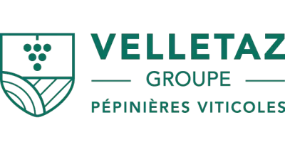 PEPINIERES VITICOLES VELLETAZ GROUPE