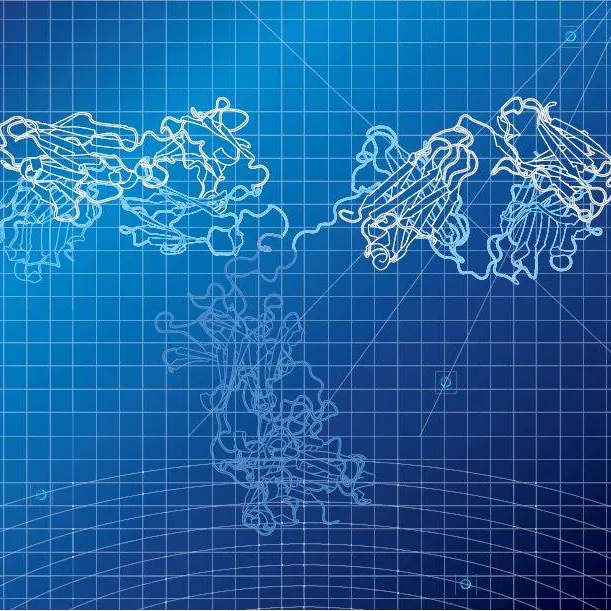 Custom HuCAL Recombinant Monoclonal Antibody Generation