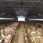 Élevage
