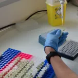 Innovation et qualité