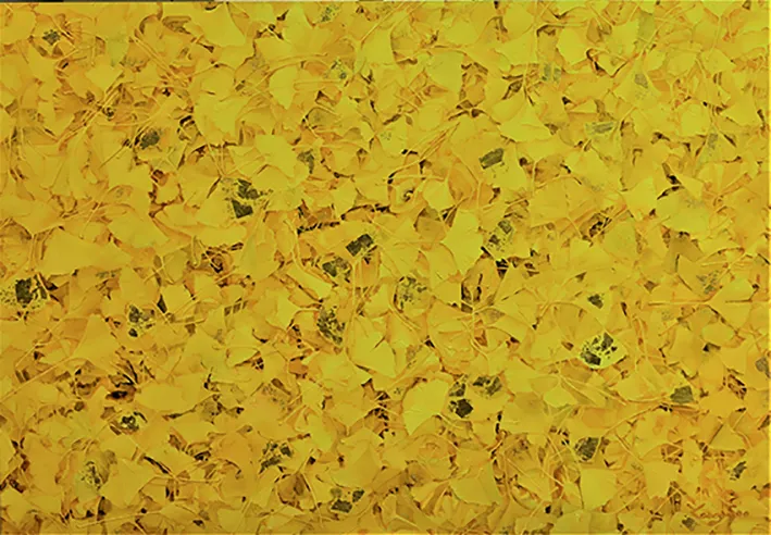 Natural Image (Wealthy ) by Lee,Young soo