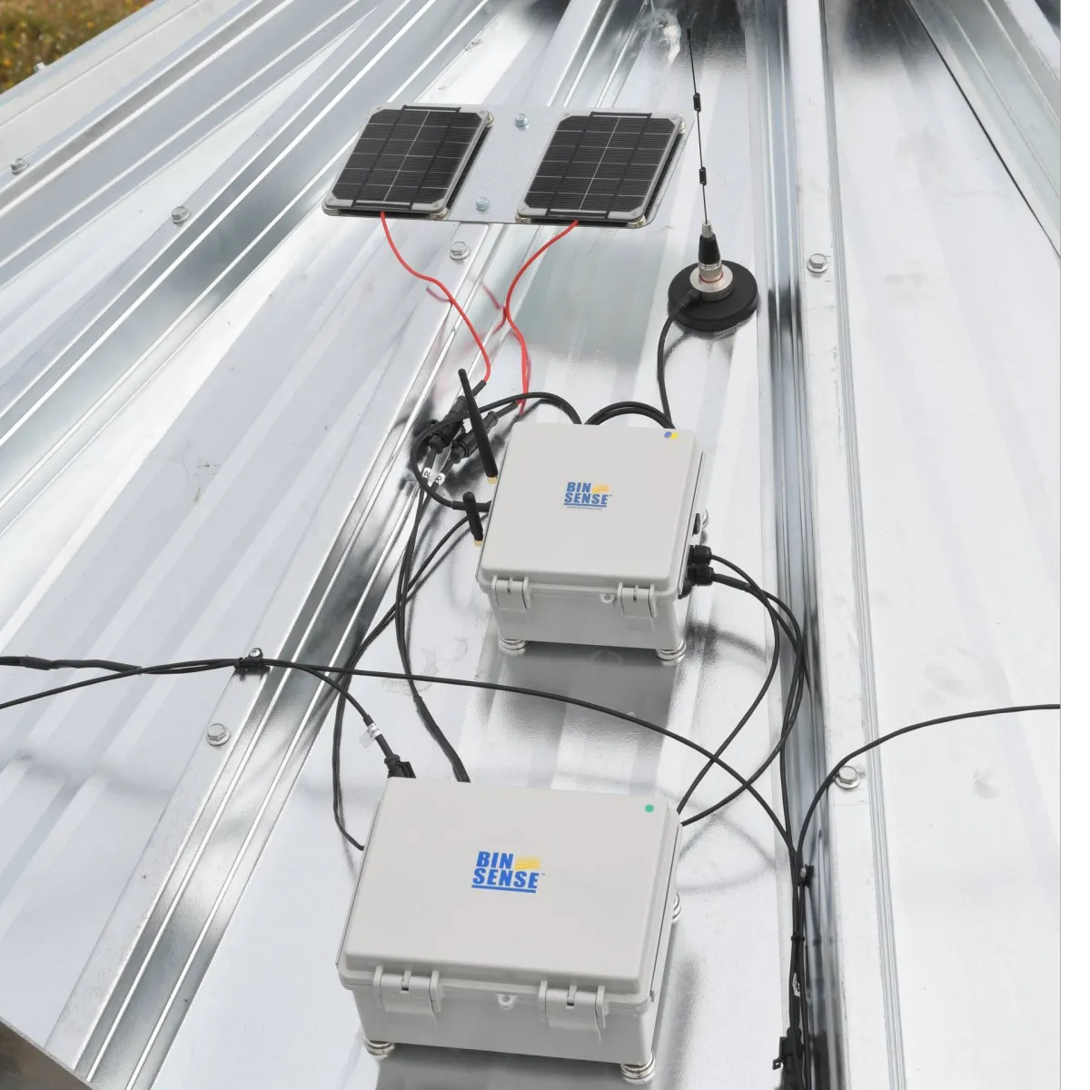 BIN-SENSE®