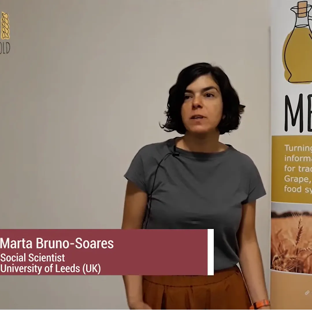 Video - Promo video on the grape and wine sector