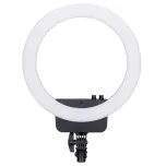 Halo Series of Ring Lights, SKU: Assorted