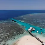Heron Island