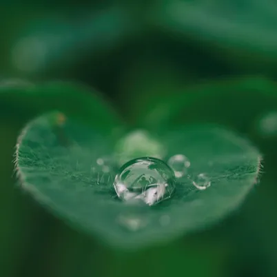 Carbon unit procurement strategy