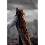 SALTVERK Seaweed Salt