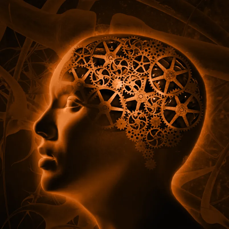 Memory Machine™ Advanced Edition