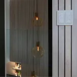 RA2 Select whole home lighting control