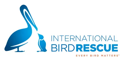 International Bird Rescue