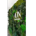 Mur végétal stabilisé