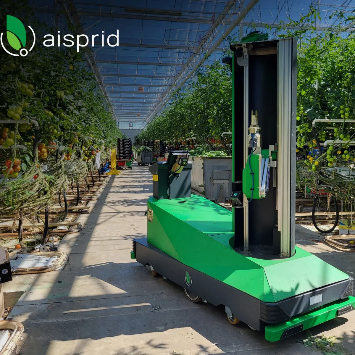 Robot autonome d'effeuillage de plants de tomates